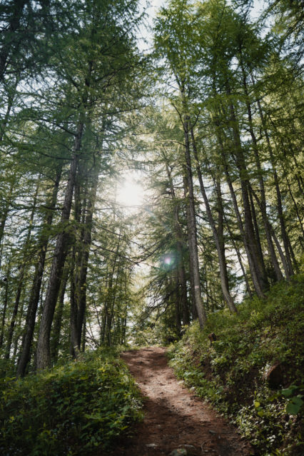 Témoignage : le PLU et les forêts communales