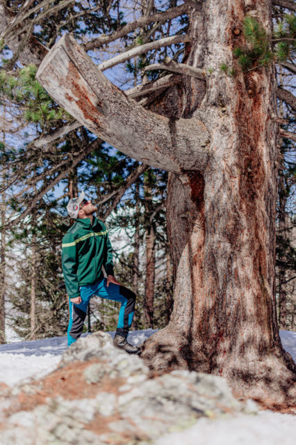 Travailler avec la forêt – Louis Constantin