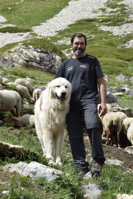 Frédéric, berger passionné